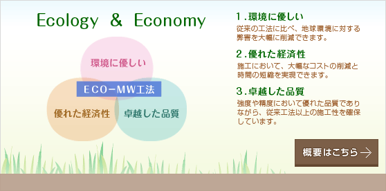 Ecology & Economy